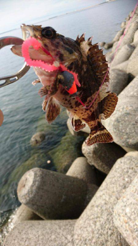 ブラクリで・・・