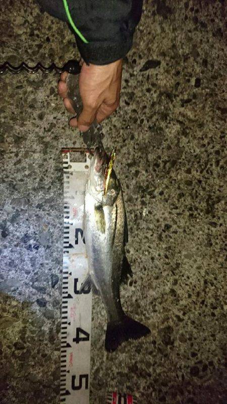 ちょっとサイズアップ