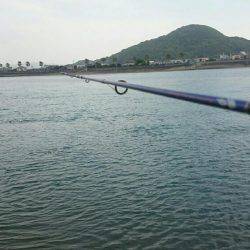 懐かしのキス釣り