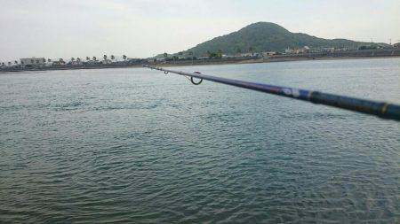 懐かしのキス釣り