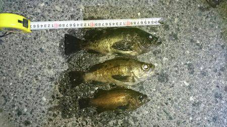 またまた淡路遠征