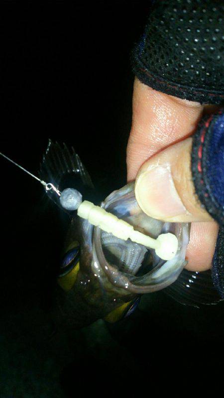 友人達とわいわいメバリング♪