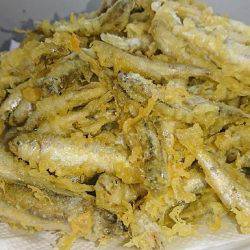 今年も子鮎がキター(ﾟ∀ﾟ)