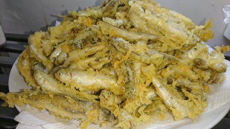 今年も子鮎がキター(ﾟ∀ﾟ)