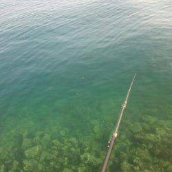 ちょこっとだけエギング