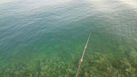 ちょこっとだけエギング