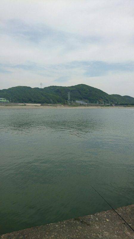 磯ノ浦でチョイ投げ。