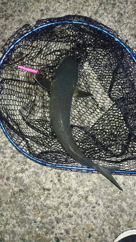 ボラれました…