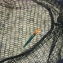 価値ある一本！