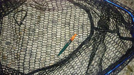 価値ある一本！