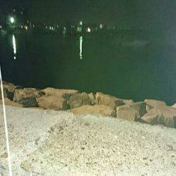 連休最終日に…