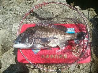 家島諸島・院下島  住栄渡船にて