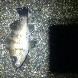 雨の日は釣れる？