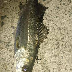 バチ抜けパターン