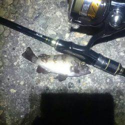 タイミングが？