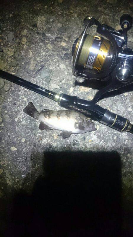 タイミングが？