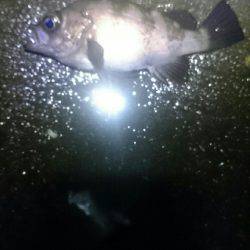 雨にもまけず。