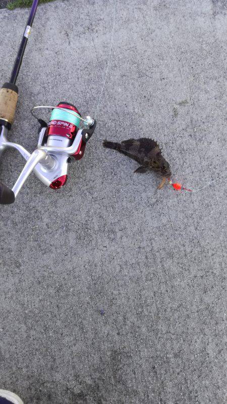 さっぱり。。。