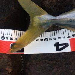 ラインブレイク後