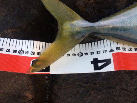 ラインブレイク後