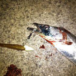 渋いなりにも何とか。。。