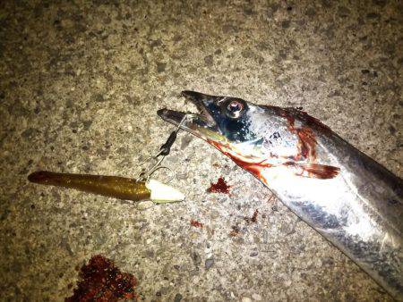 渋いなりにも何とか。。。