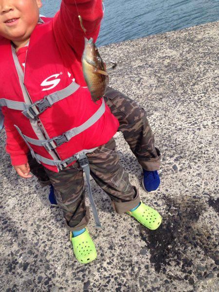 マッタリ家族フィッシング