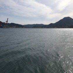 コウイカうぇーいo(^▽^)o