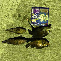 メバリング＆ガシリング