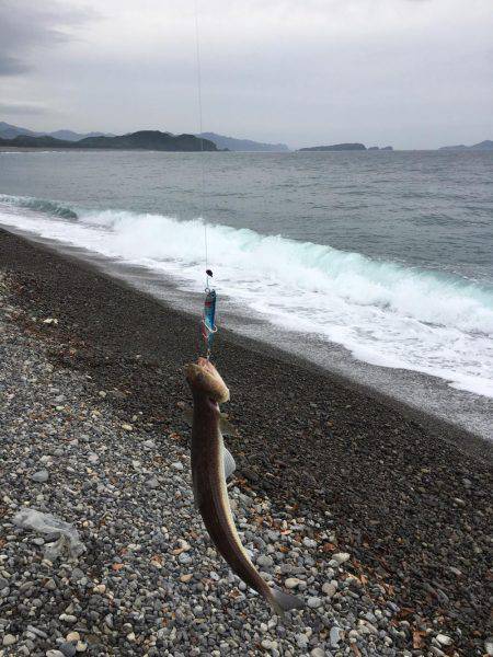 大里松原海岸 みんなどこへ行った？エソだけ？