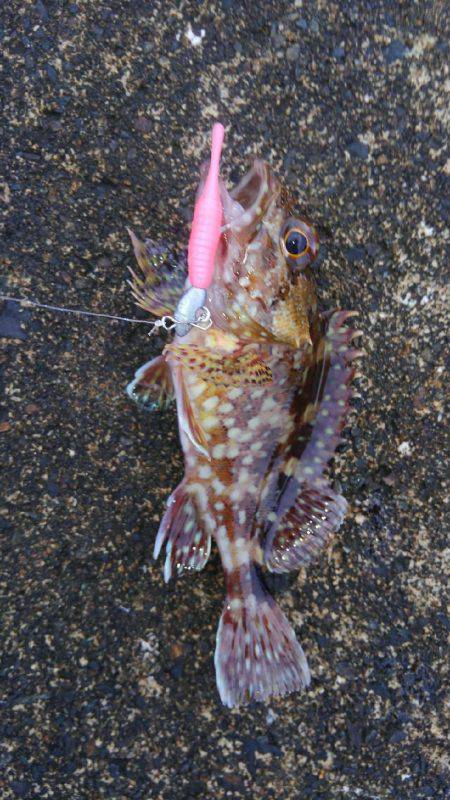 ミップル様周辺にて(笑)。