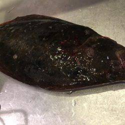 そこをねちねちん