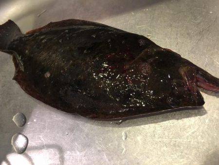 そこをねちねちん