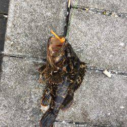 GW初日メバリング