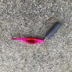 イイダコ→イシガニ