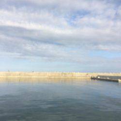 はじめてのメバル