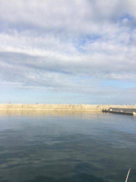 はじめてのメバル