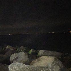 夕方からガシリング