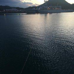 タケノコメバル