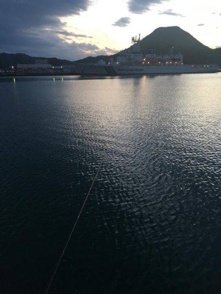 タケノコメバル