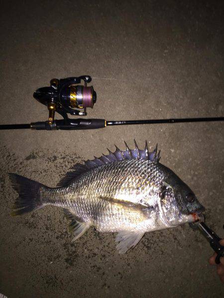 リバーチニング@国分川