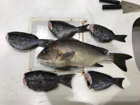 初沖磯・初フカセ