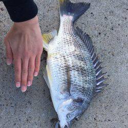 エビ撒きでイェーーイ