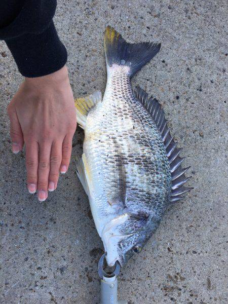 エビ撒きでイェーーイ