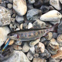 1日あけてまた行ってきた