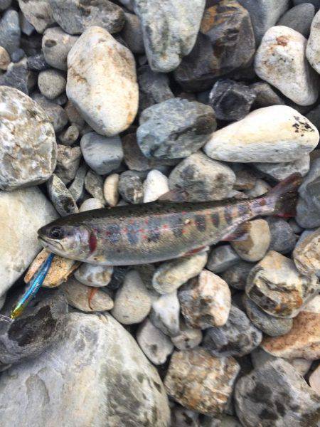 1日あけてまた行ってきた