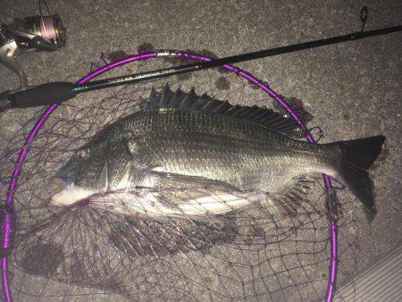 昨夜のリベンジ