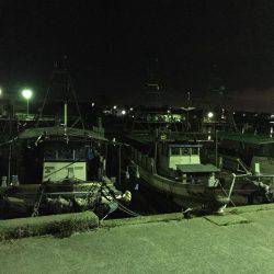 潮が悪かったか？