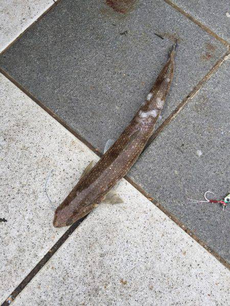 激渋、そしてエソ