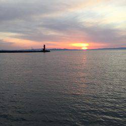 アジングチャレンジ